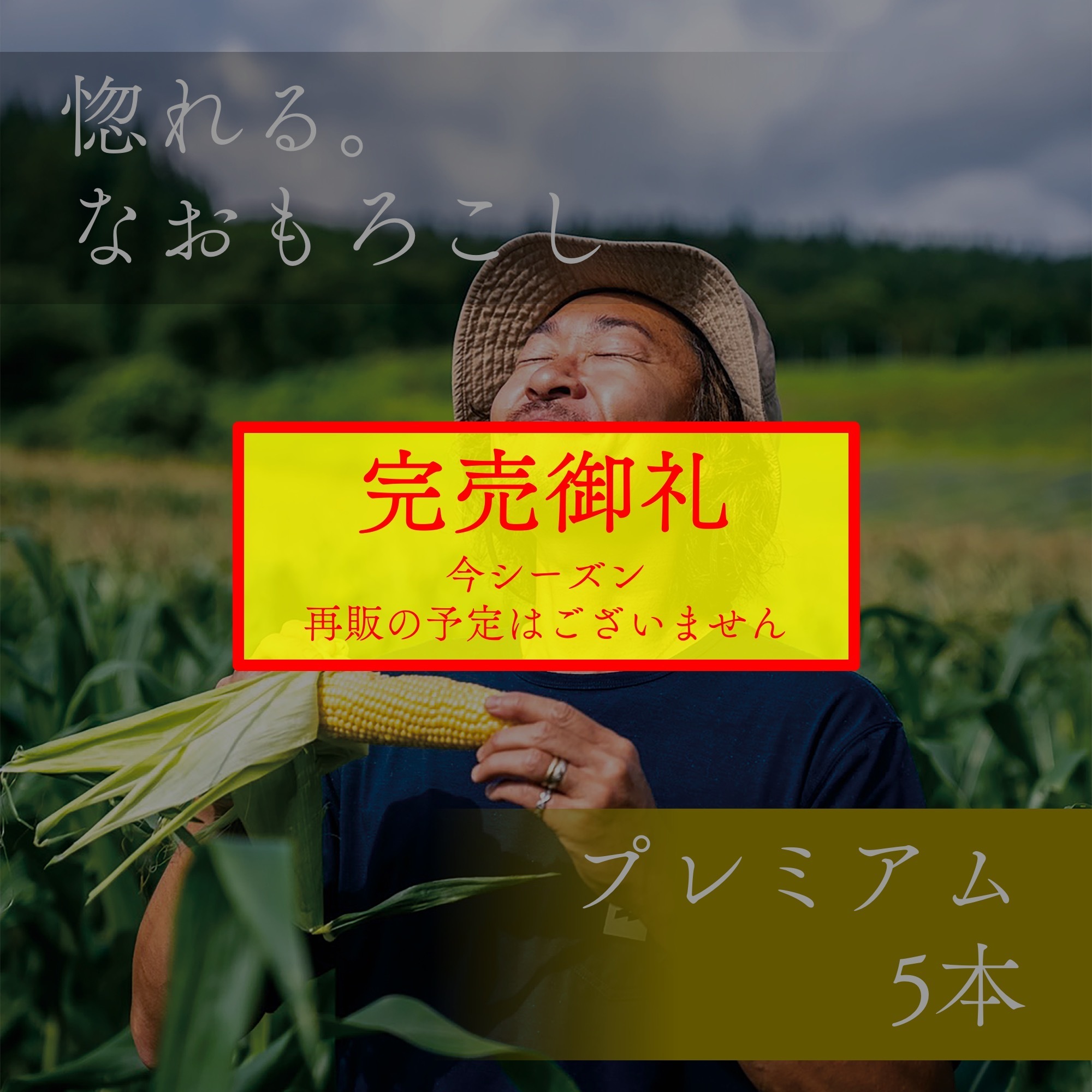 特別なパッケージ