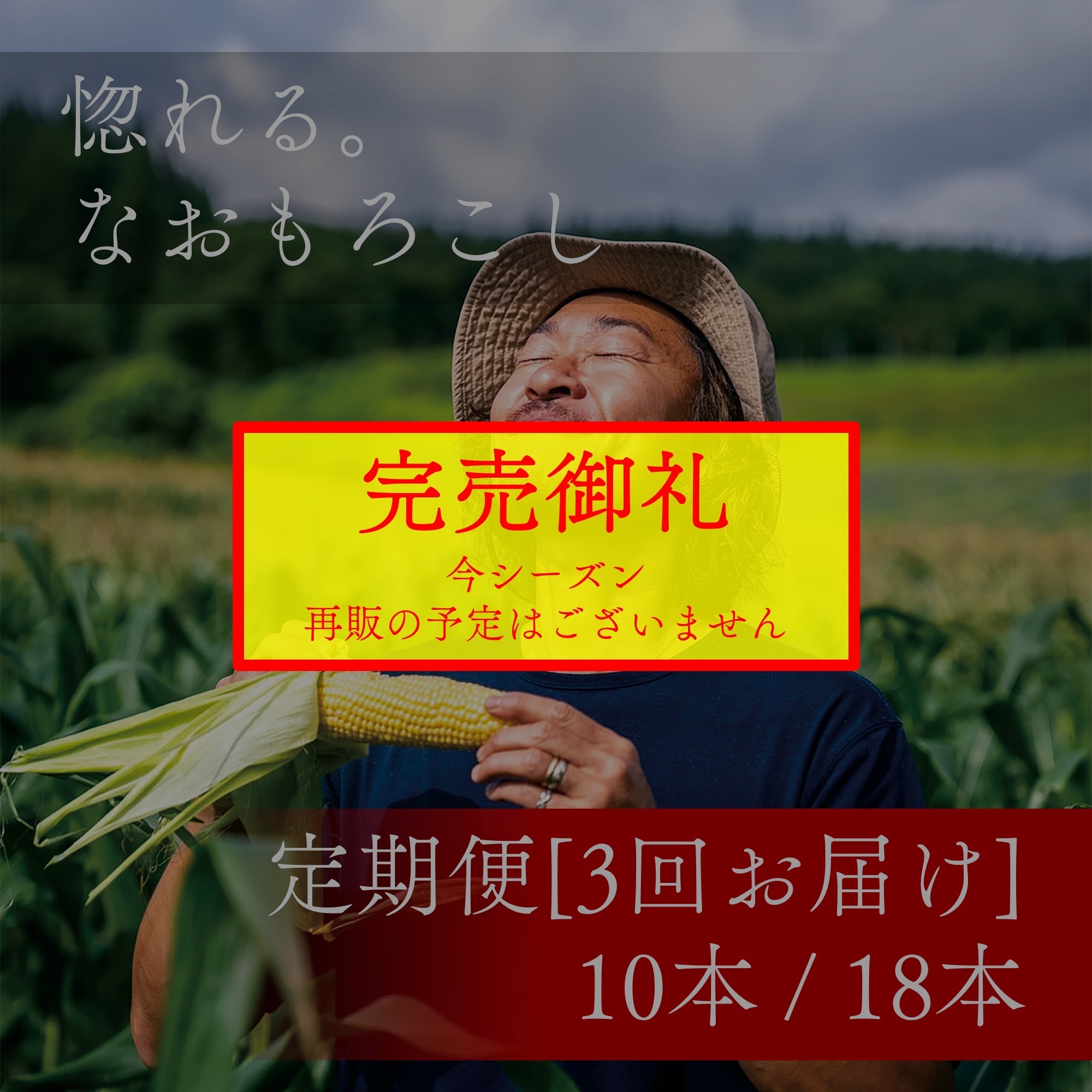 なおもろこし定期便 3回配送