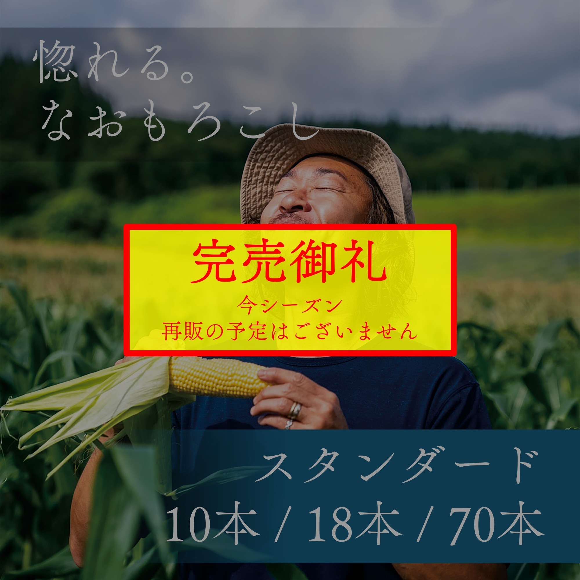 なおもろこし 10本入